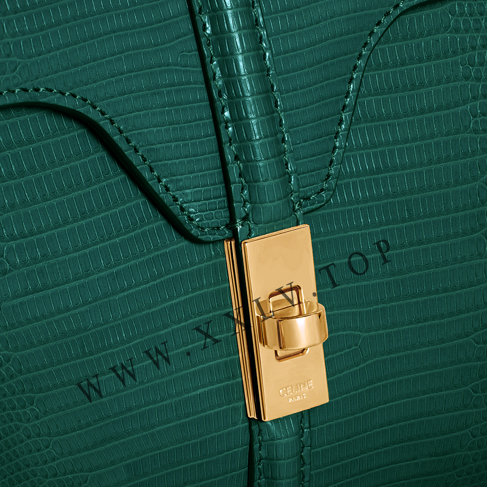 MINI 16 in Lizard - Image 4