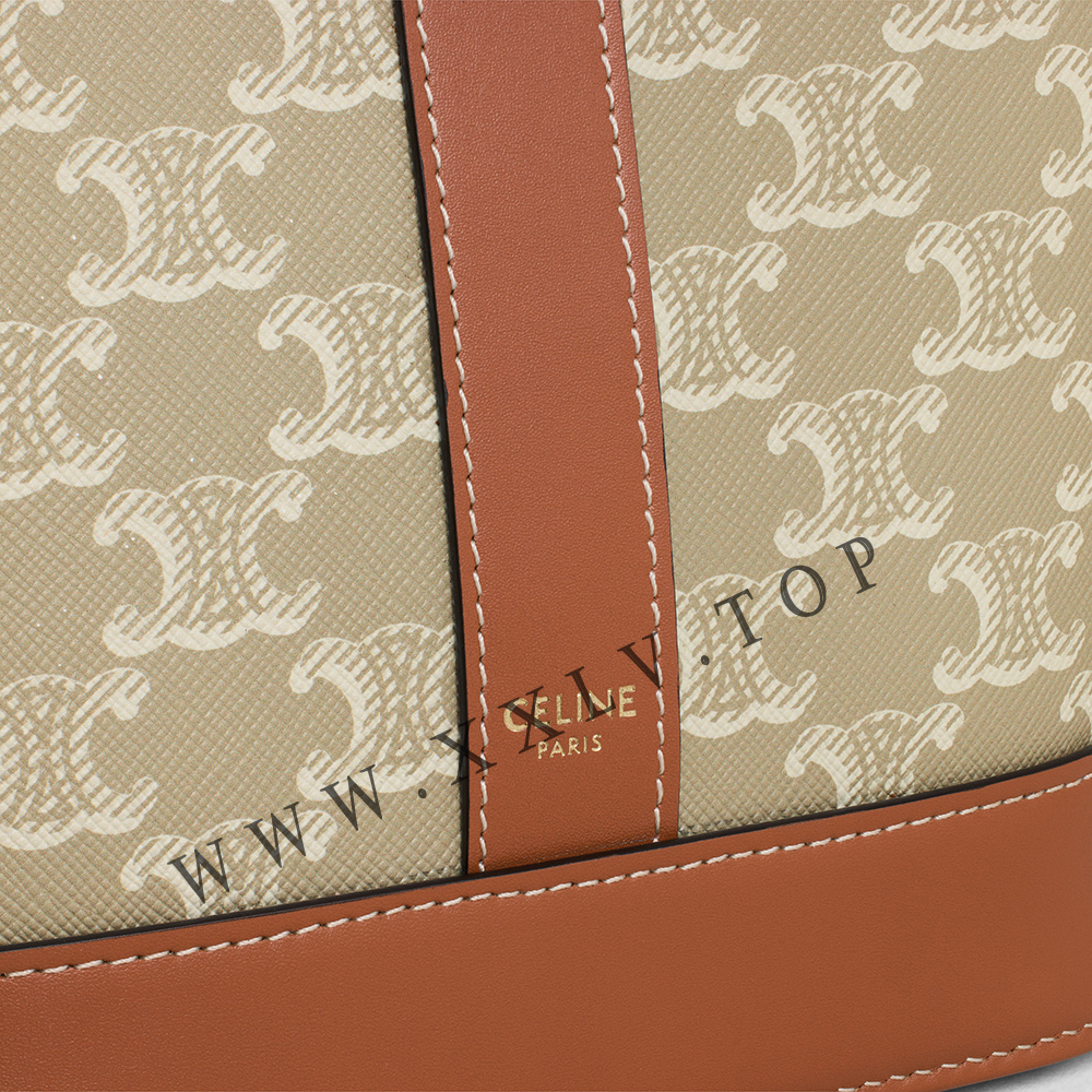 Small Bucket in Triomphe Canvas and calfskin - Image 2