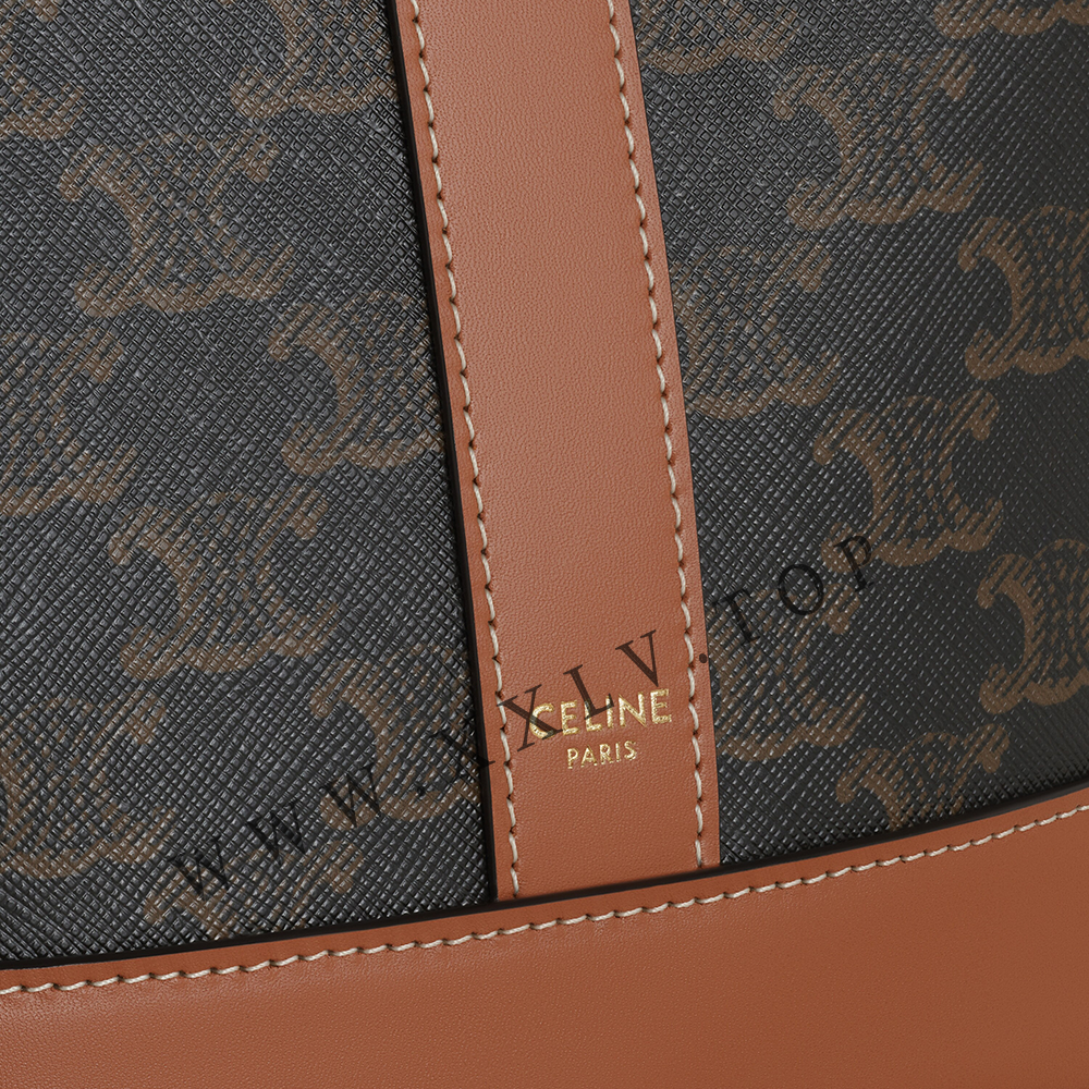 Small Bucket in Triomphe Canvas and calfskin - Image 2