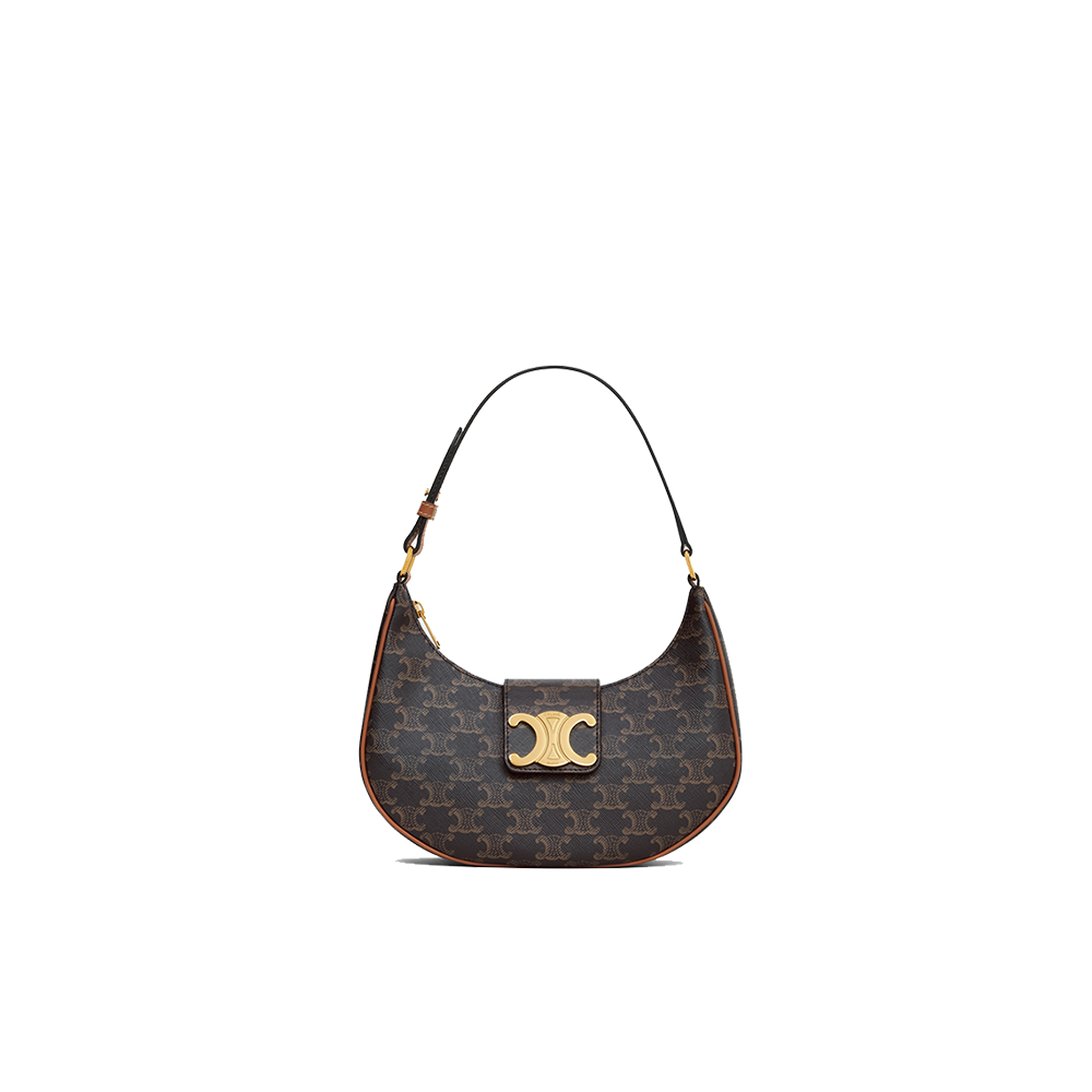 Ava Bag in Triomphe Canvas and calfskin