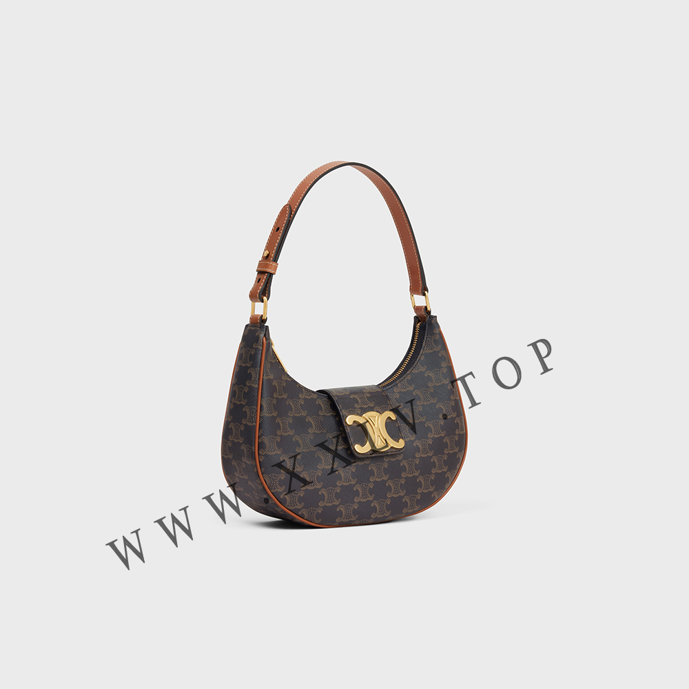 Ava Bag in Triomphe Canvas and calfskin - Image 5