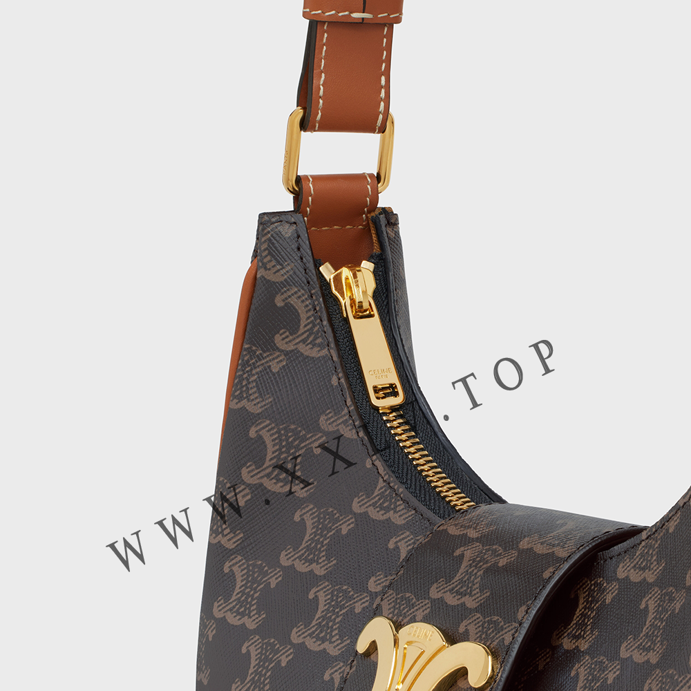 Ava Bag in Triomphe Canvas and calfskin - Image 4