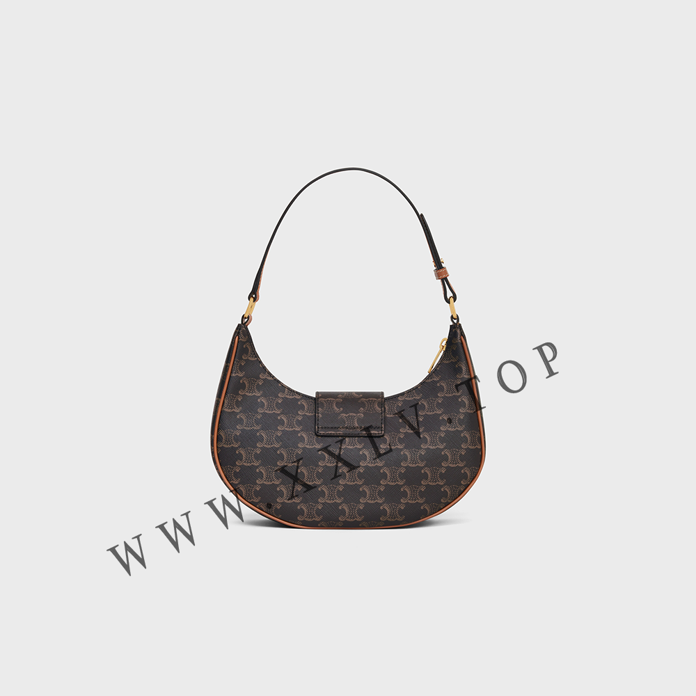 Ava Bag in Triomphe Canvas and calfskin - Image 2