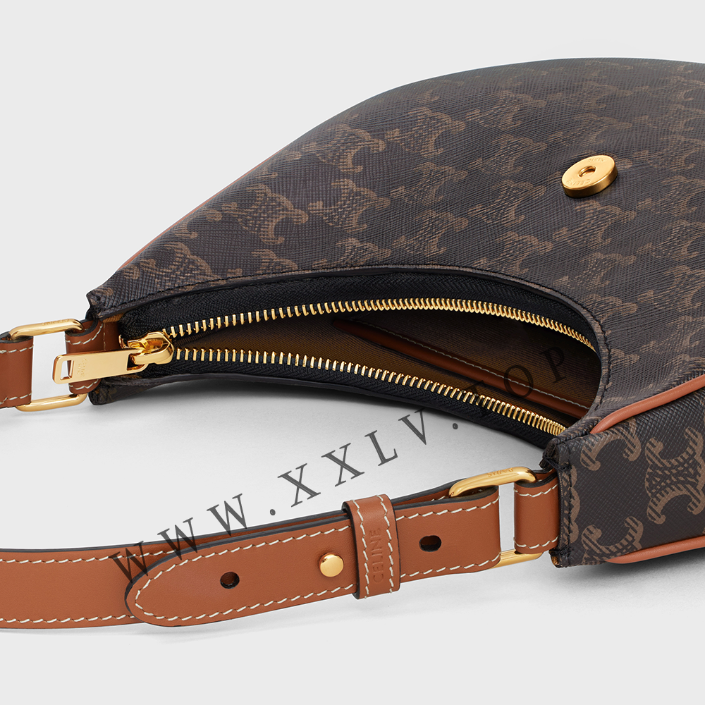 Ava Bag in Triomphe Canvas and calfskin - Image 3