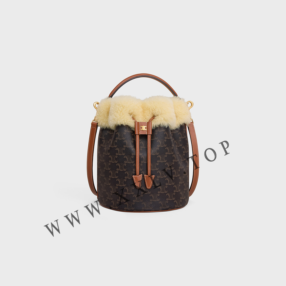 CLARA BAG in TRIOMPHE CANVAS AND SHEARLING - Image 3