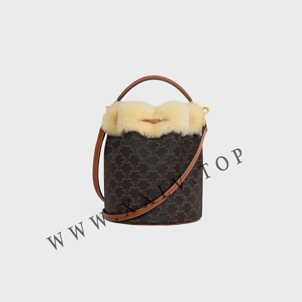 CLARA BAG in TRIOMPHE CANVAS AND SHEARLING - Image 4