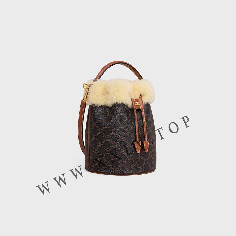 CLARA BAG in TRIOMPHE CANVAS AND SHEARLING - Image 5
