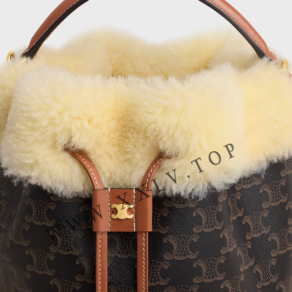 CLARA BAG in TRIOMPHE CANVAS AND SHEARLING - Image 2