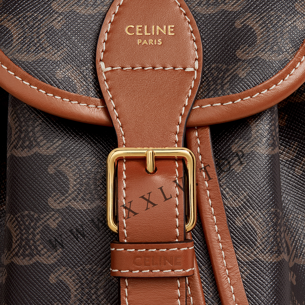 MINI BACKPACK FOLCO in Triomphe Canvas and calfskin - Image 2