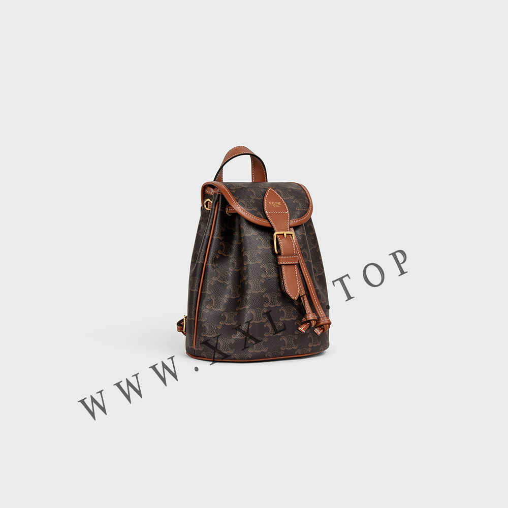 MINI BACKPACK FOLCO in Triomphe Canvas and calfskin - Image 5
