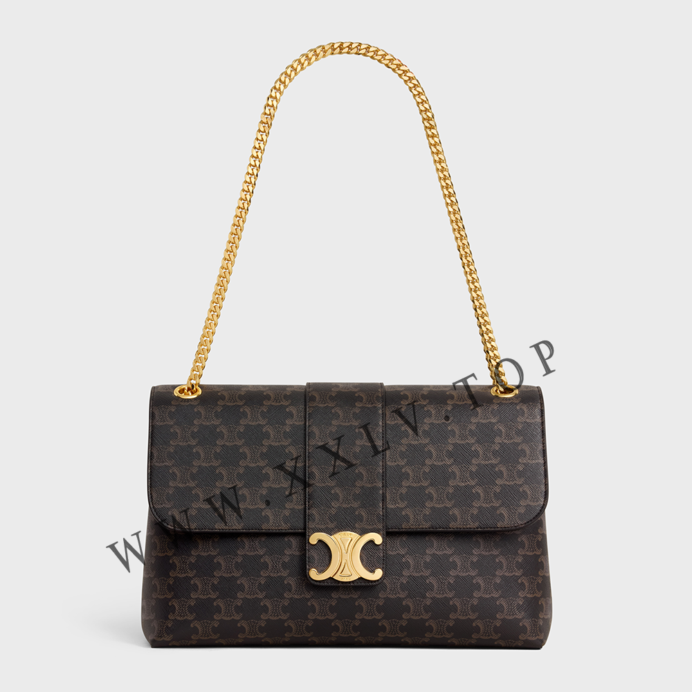 LARGE CELINE VICTOIRE BAG in Triomphe Canvas - Image 4