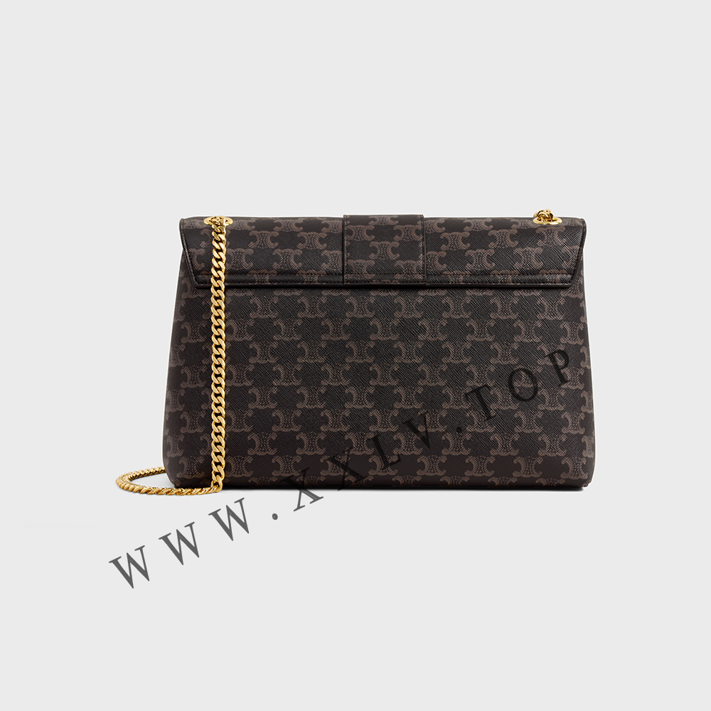 LARGE CELINE VICTOIRE BAG in Triomphe Canvas - Image 5