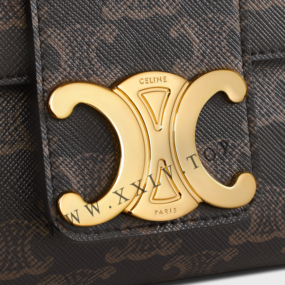 Medium Celine Victoire Bag in Triomphe Canvas - Image 2