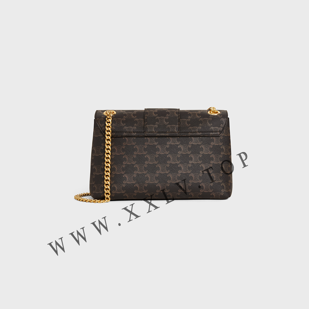 Medium Celine Victoire Bag in Triomphe Canvas - Image 3
