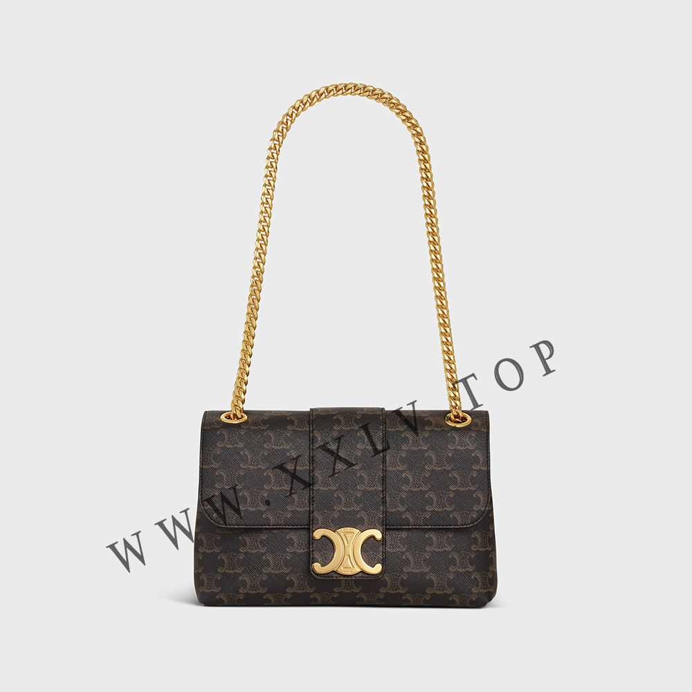 Medium Celine Victoire Bag in Triomphe Canvas - Image 4
