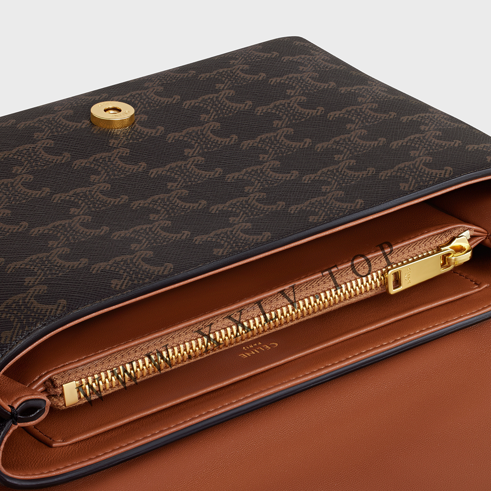 Medium Celine Victoire Bag in Triomphe Canvas - Image 5