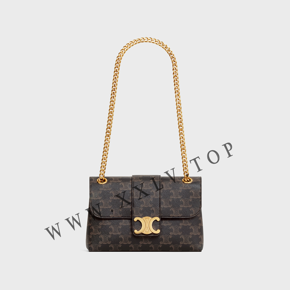 TEEN CELINE VICTOIRE BAG in Triomphe Canvas - Image 5