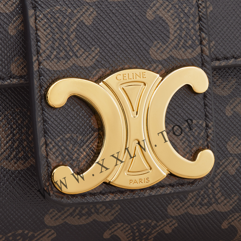 TEEN CELINE VICTOIRE BAG in Triomphe Canvas - Image 2