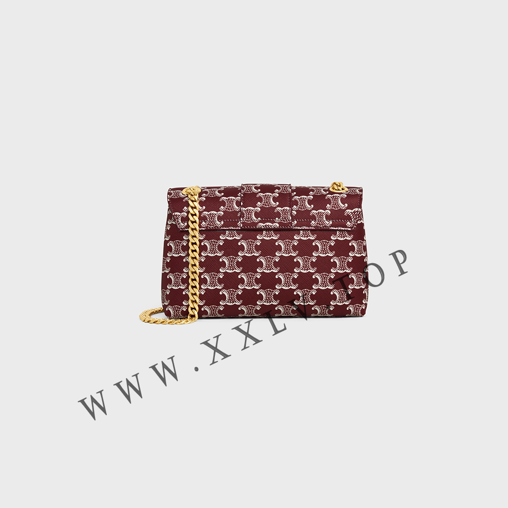 TEEN CELINE VICTOIRE BAG in TRIOMPHE CANVAS TWO-TONE - Image 4