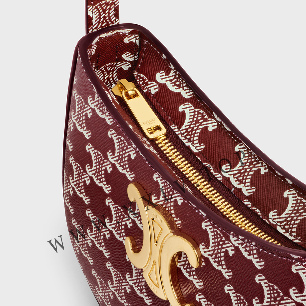 MEDIUM TILLY BAG in TRIOMPHE CANVAS TWO-TONE - Image 2