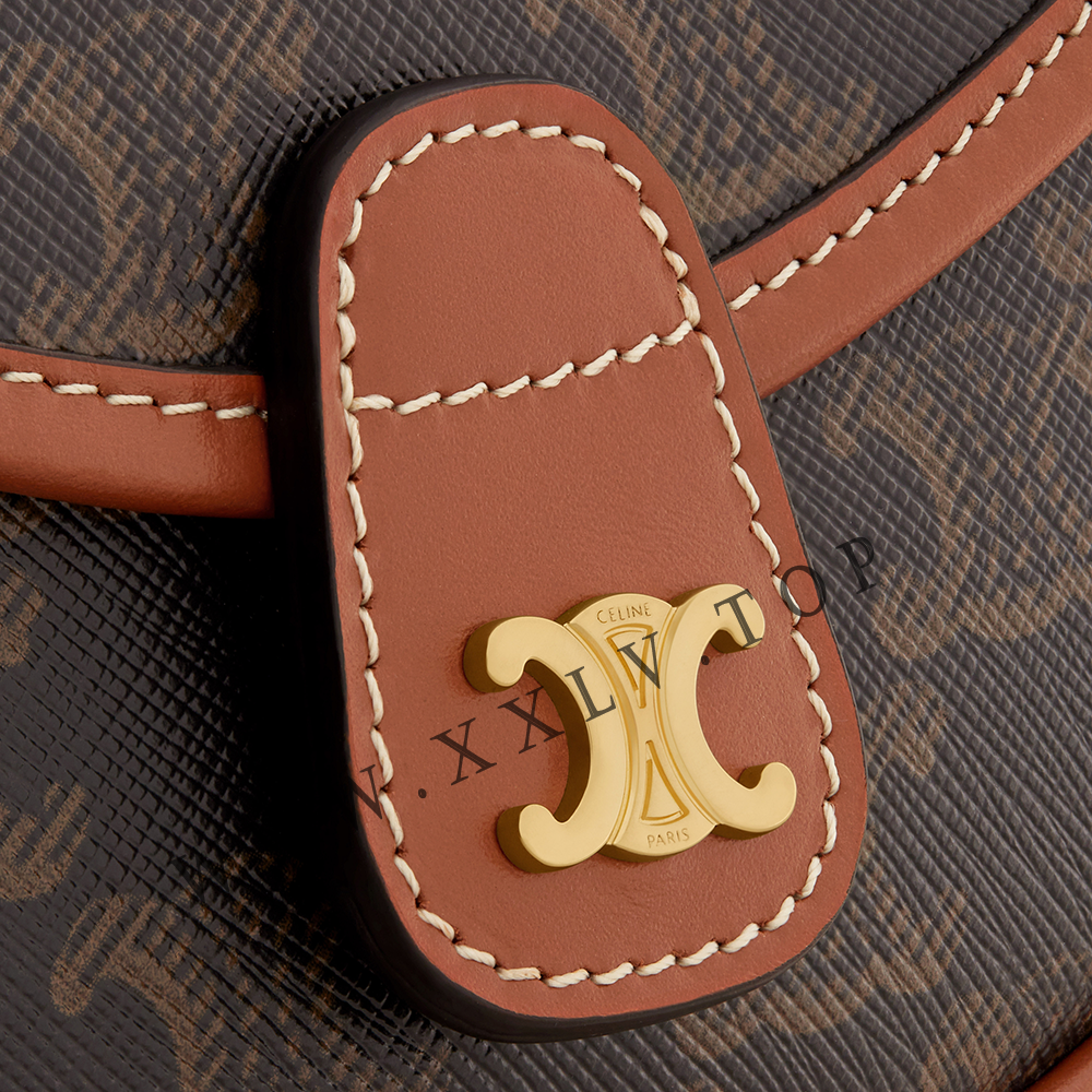 Mini Besace in Triomphe Canvas and calfskin - Image 2