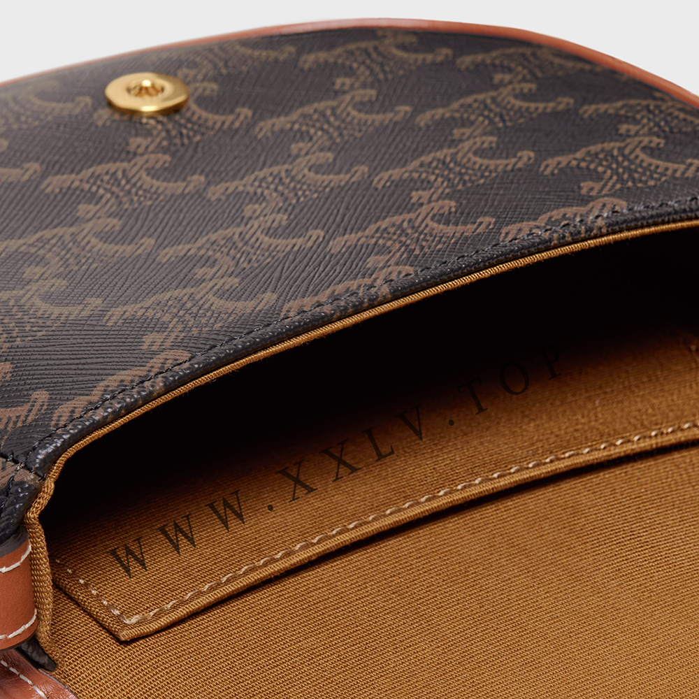 Mini Besace in Triomphe Canvas and calfskin - Image 3