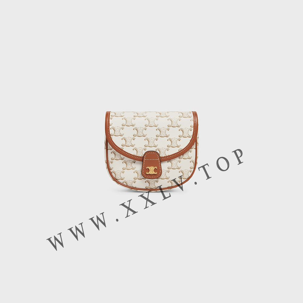 Mini Besace in Triomphe Canvas and calfskin - Image 5