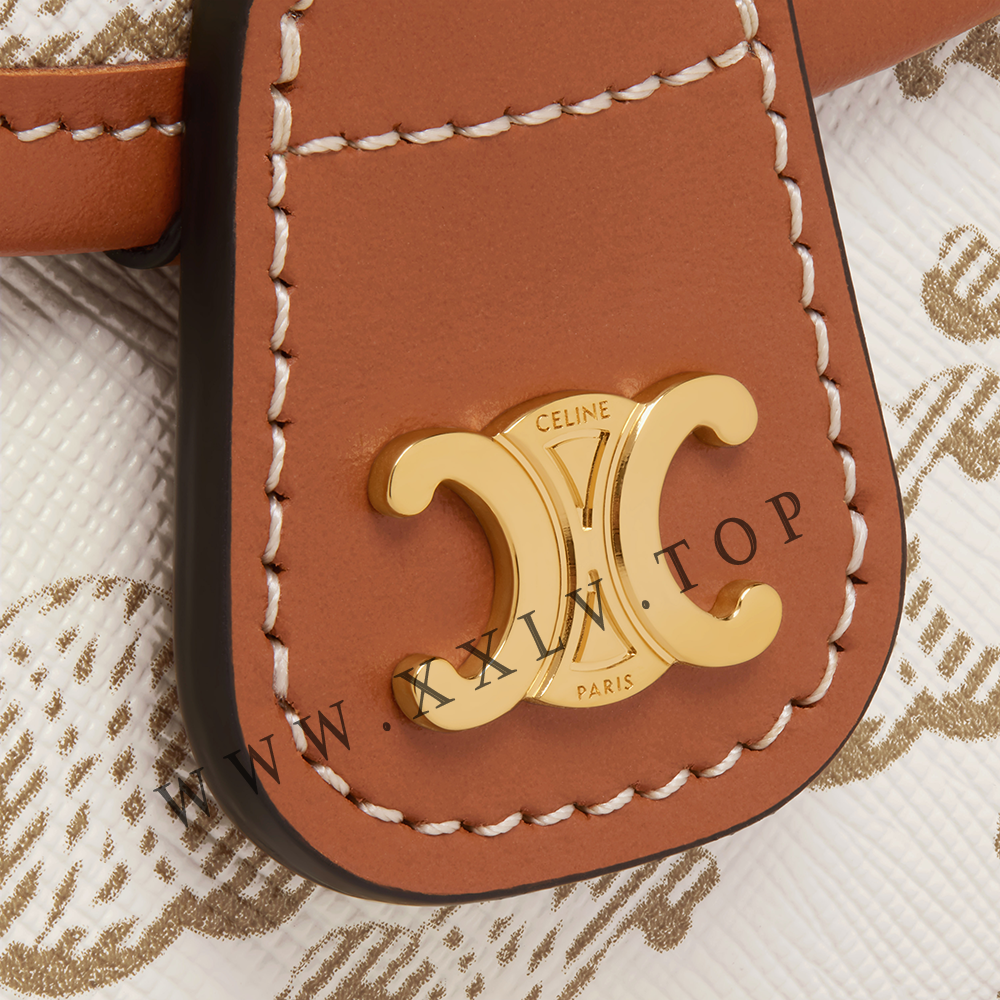 Mini Besace in Triomphe Canvas and calfskin - Image 4