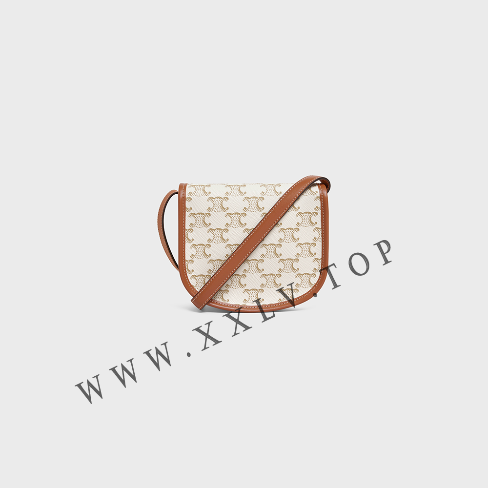 Mini Besace in Triomphe Canvas and calfskin - Image 2