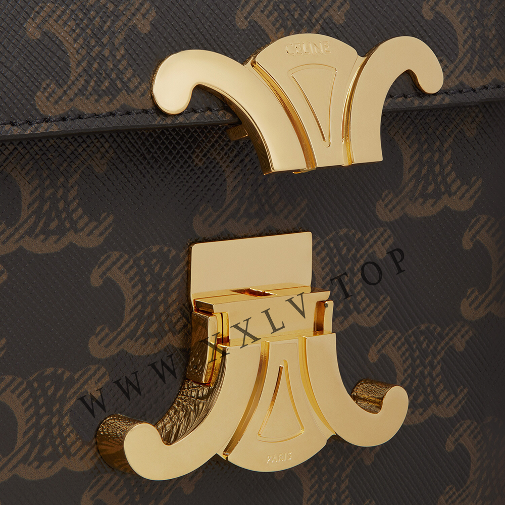 SHOULDER BAG CLAUDE in Triomphe canvas and calfskin - Image 3