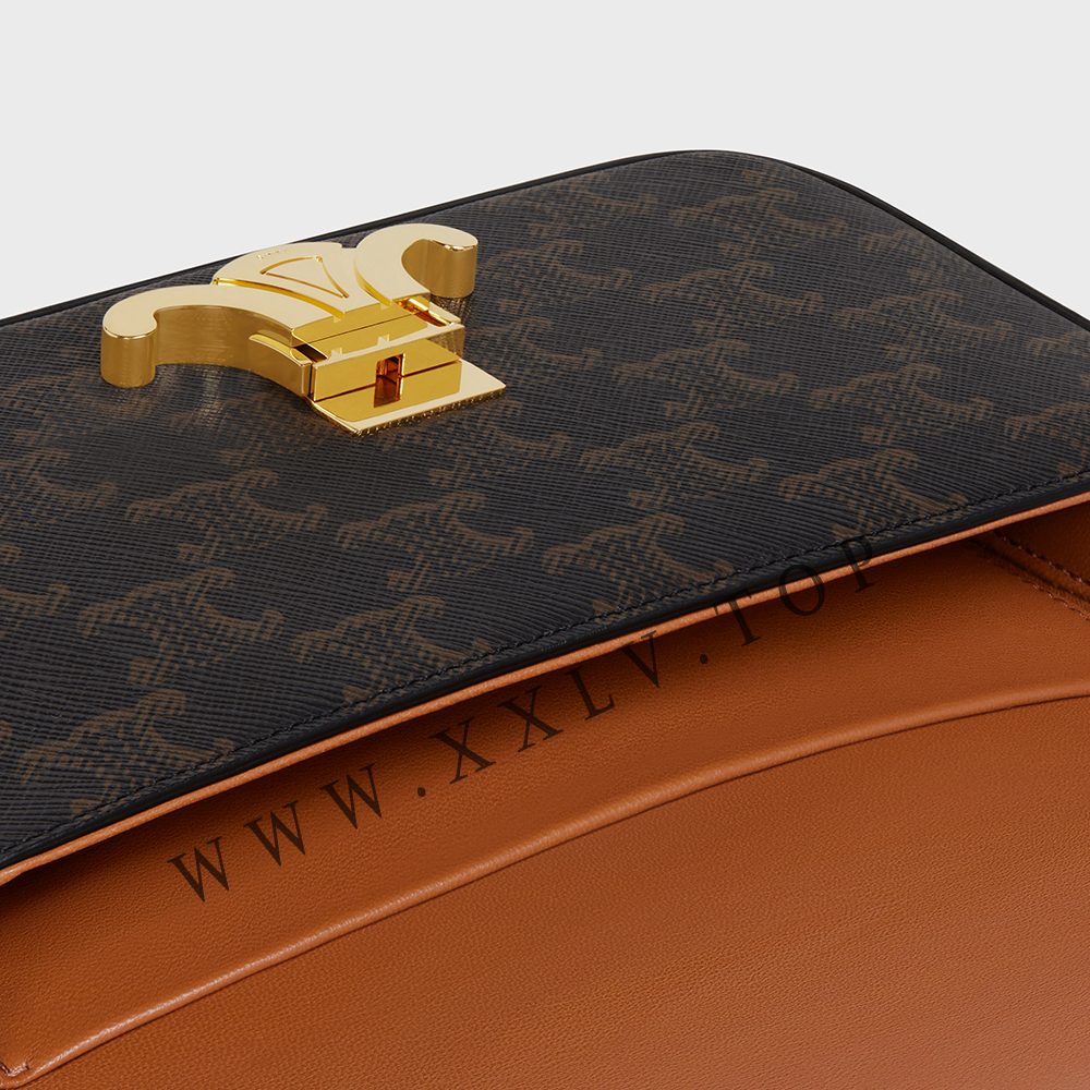 SHOULDER BAG CLAUDE in Triomphe canvas and calfskin - Image 2