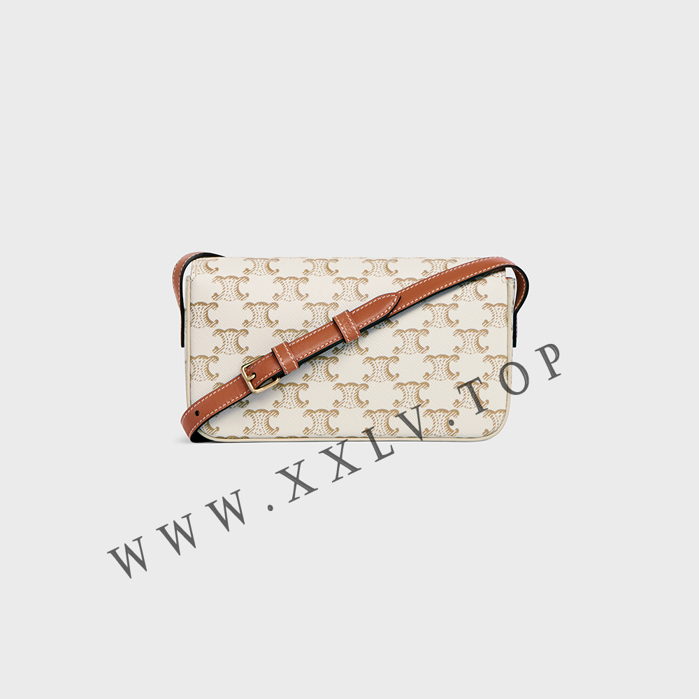 SHOULDER BAG CLAUDE in Triomphe canvas and calfskin - Image 2