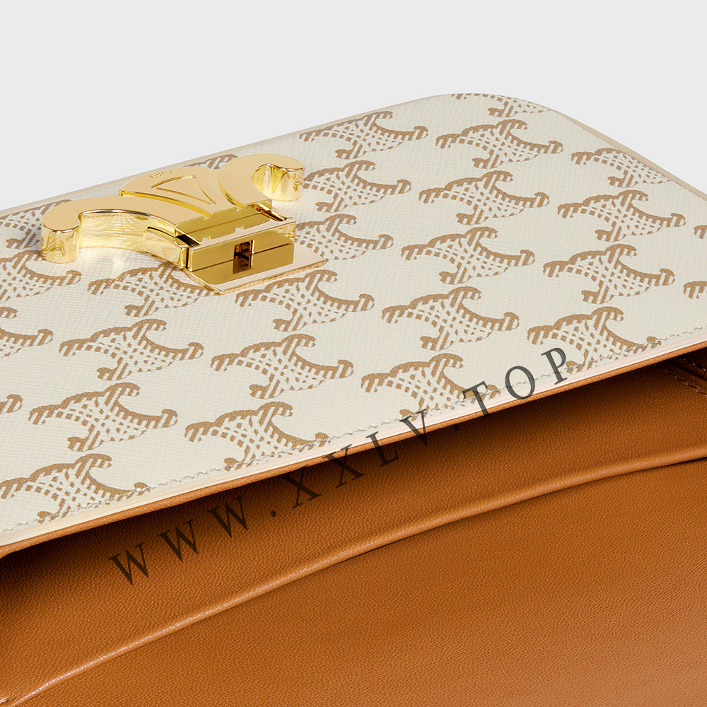 SHOULDER BAG CLAUDE in Triomphe canvas and calfskin - Image 4