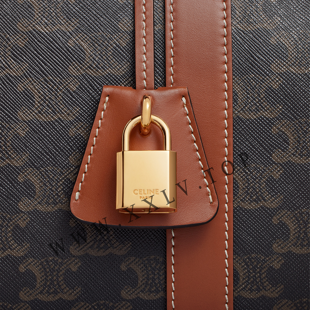 Medium Travel Bag in Triomphe Canvas and calfskin - Image 2