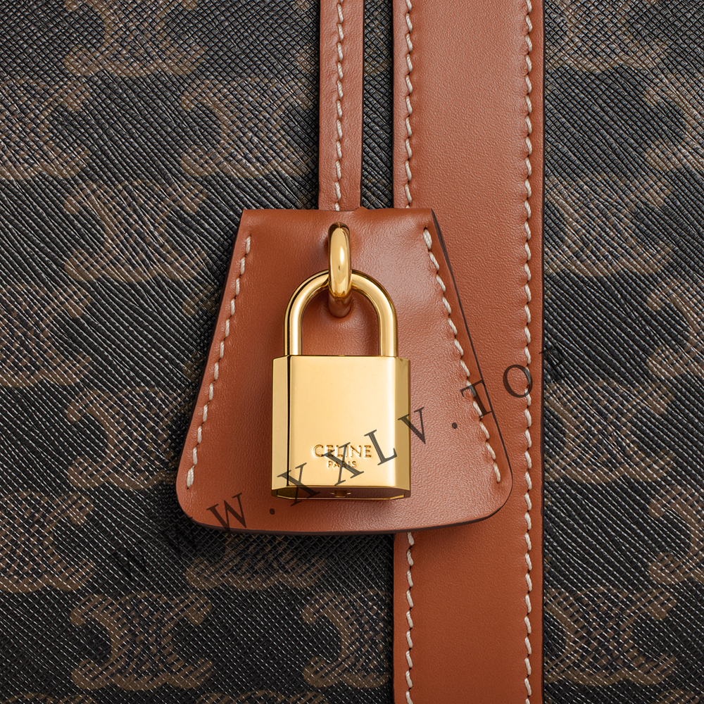 Large Travel Bag in Triomphe Canvas and calfskin - Image 2