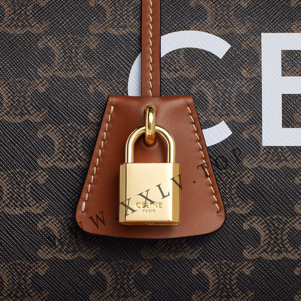 Medium Travel Bag in Triomphe Canvas with Celine Print - Image 5