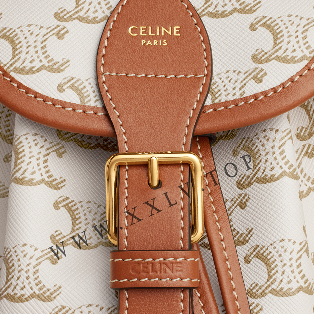 MINI BACKPACK FOLCO in Triomphe Canvas and calfskin - Image 2