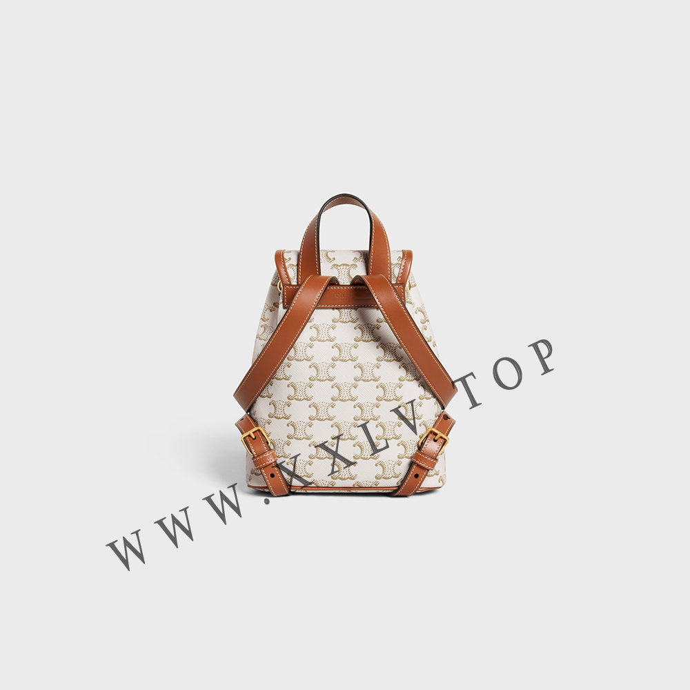 MINI BACKPACK FOLCO in Triomphe Canvas and calfskin - Image 3