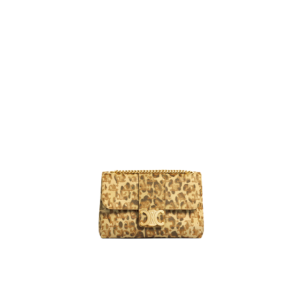 Medium Celine Victoire Bag in Triomphe Canvas