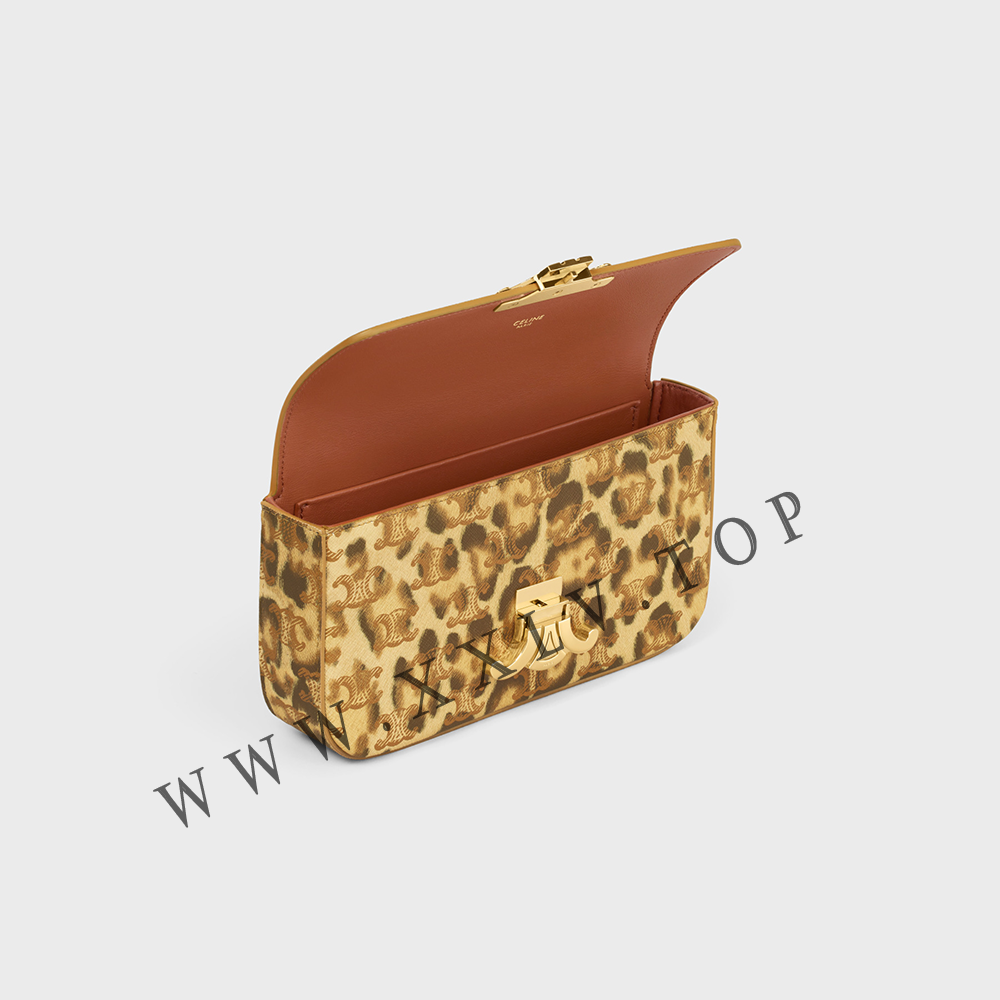 CHAIN SHOULDER BAG CLAUDE in Triomphe canvas - Image 5