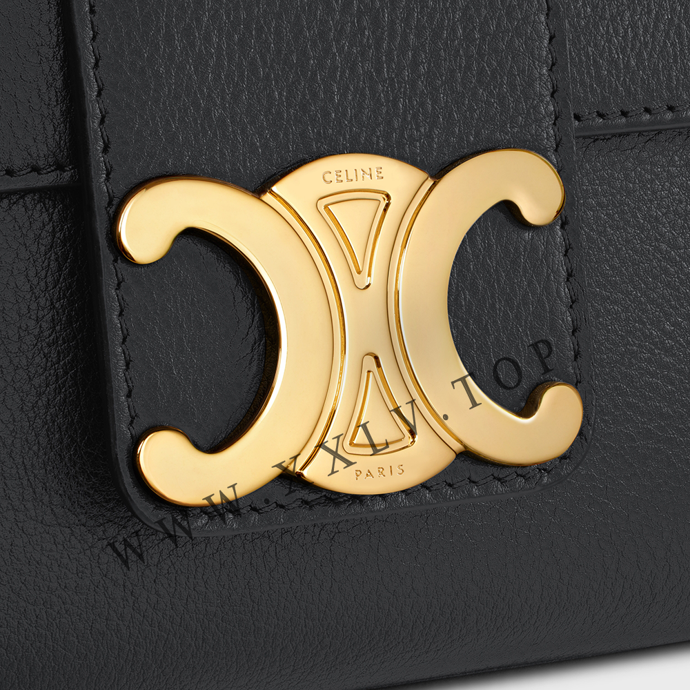 Medium Celine Victoire Bag in SUPPLE CALFSKIN - Image 3