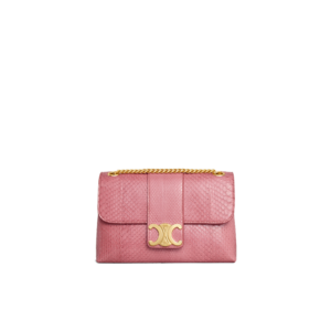 Medium Celine Victoire Bag in PYTHON
