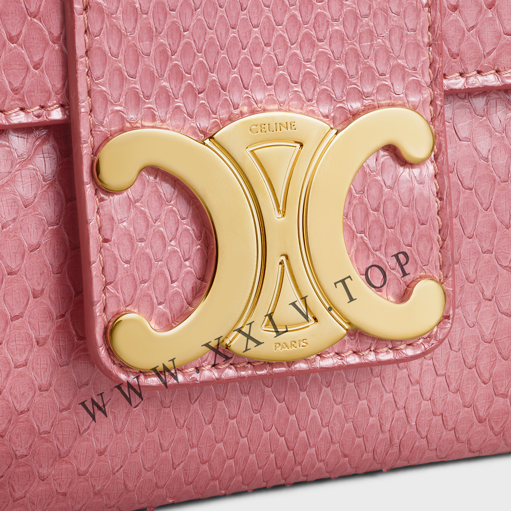 Medium Celine Victoire Bag in PYTHON - Image 2