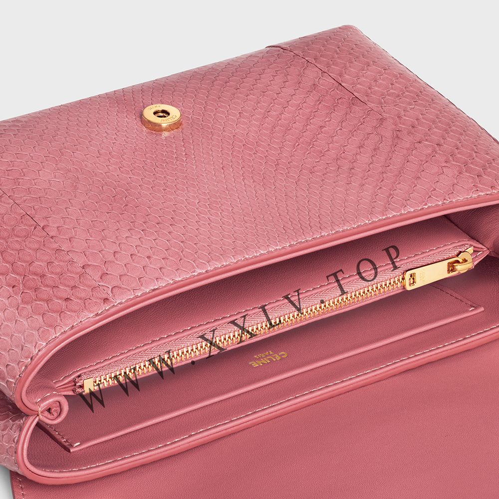 Medium Celine Victoire Bag in PYTHON - Image 3
