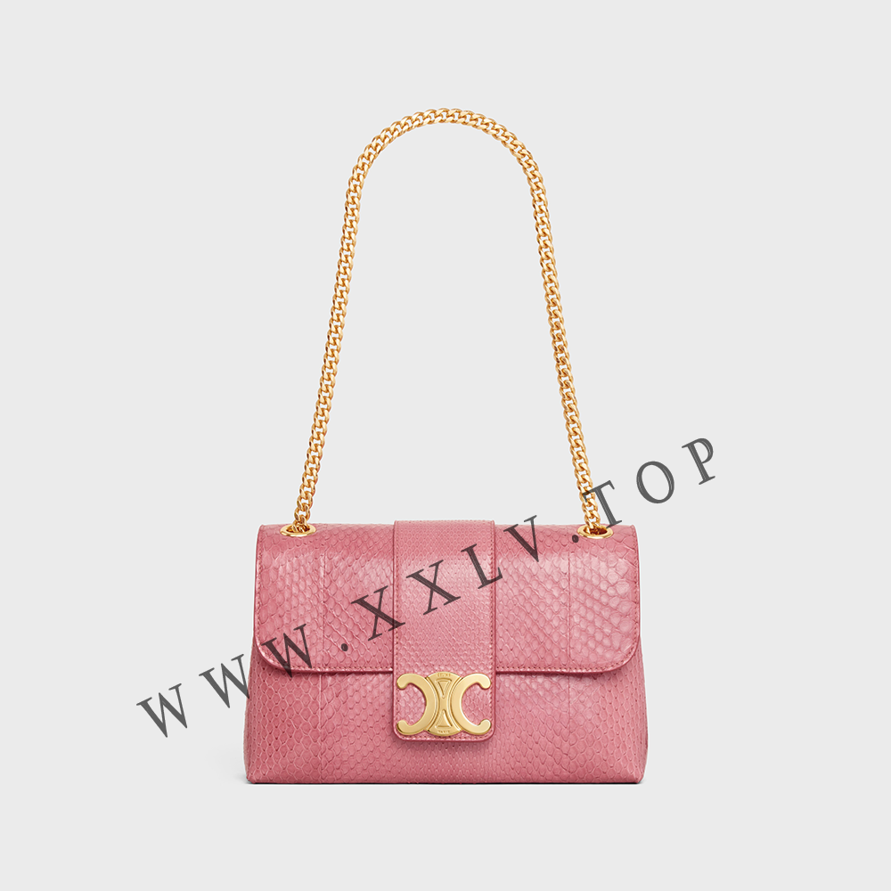 Medium Celine Victoire Bag in PYTHON - Image 4