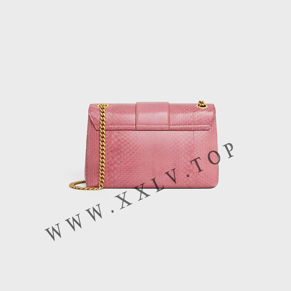 Medium Celine Victoire Bag in PYTHON - Image 5