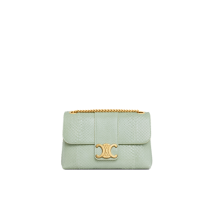 Medium Celine Victoire Bag in PYTHON