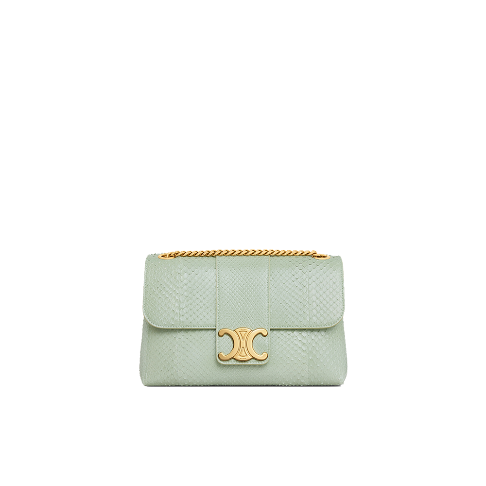 Medium Celine Victoire Bag in PYTHON