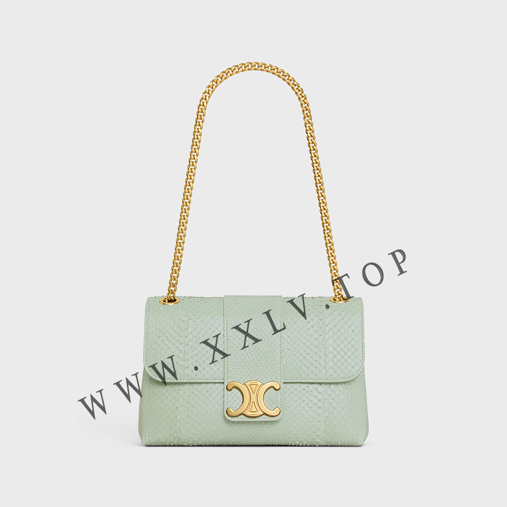 Medium Celine Victoire Bag in PYTHON - Image 5