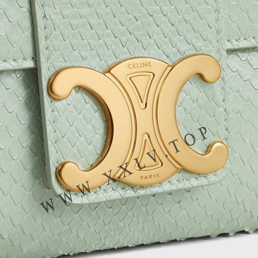 Medium Celine Victoire Bag in PYTHON - Image 4